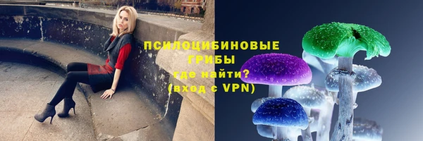 индика Армянск