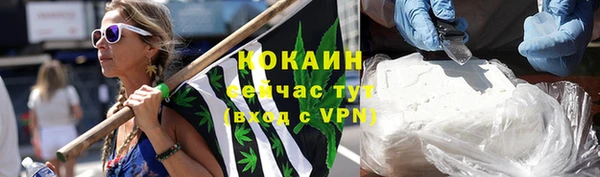индика Армянск