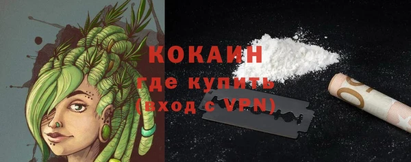 кокс Арсеньев