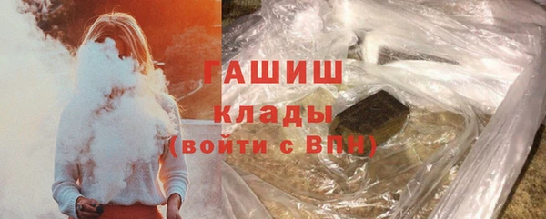 индика Армянск