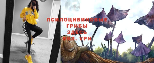 кокс Арсеньев